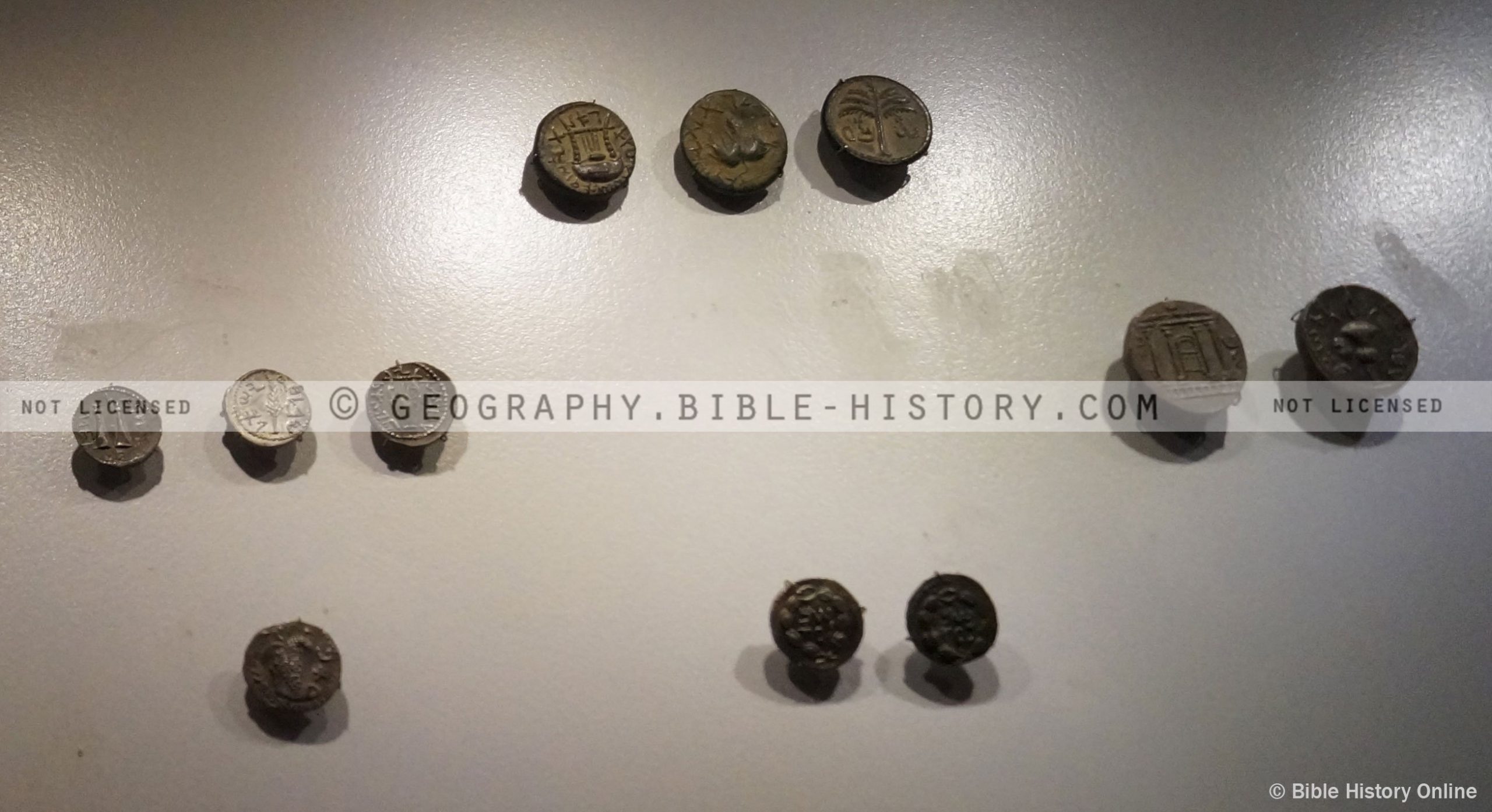 Bar Kochba Revolt Coins - Color Photo (72 DPI) 1-Year License - Bible ...