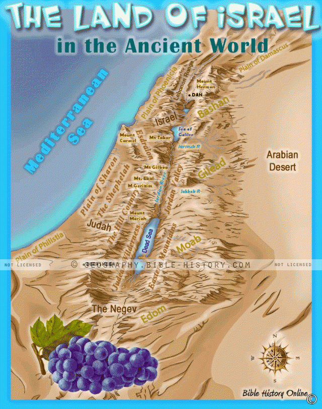 Land of Ancient Israel - Topo Color Map (72 DPI) 1-Year License - Bible Maps and Images