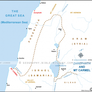Zarephath and MT Carmel - Basic Map (72 DPI) 1-Year License