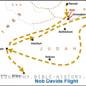 David's Flight to Nob - Basic Map (72 DPI) 1-Year License