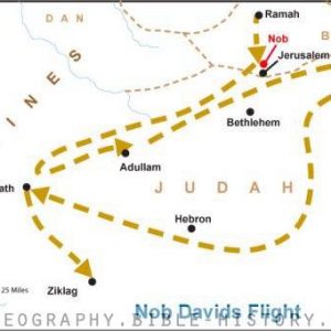 I Samuel Nob Davids Flight - Basic Map (72 DPI) 1-Year License