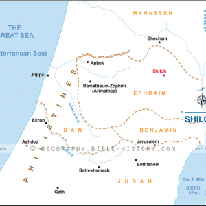 Shiloh - Basic Map (72 DPI) 1-Year License