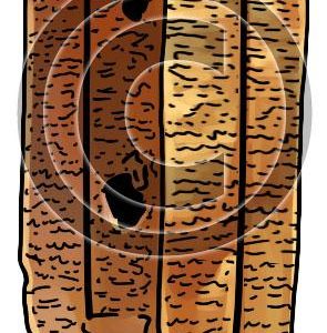 Weld Blundell Prism - Bible Illustration (72 DPI) 1-Year License