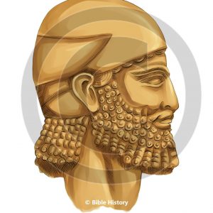 Assyrian Head - Bible Illustration (72 DPI) 1-Year License