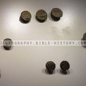 Bar Kochba Revolt Coins - Color Photo (72 DPI) 1-Year License
