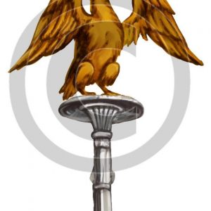 Eagle Aquila Standard - Bible Illustration (72 DPI) 1-Year License