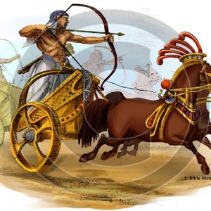 Egyptian War Chariot - Bible Illustration (72 DPI) 1-Year License