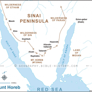 Mount Horeb - Basic Map (72 DPI) 1-Year License