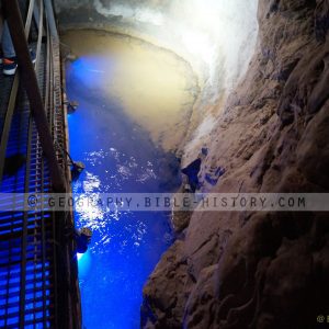 The Gihon Spring (72 DPI) 1-Year License