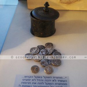 Silver Coins from the First Century AD - Color Photo (72 DPI) 1-Year License