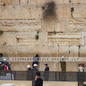 Herodian Stones - Color Photo (72 DPI) 1-Year License