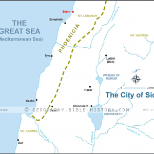 The City of Sidon - Basic Map (72 DPI) 1-Year License