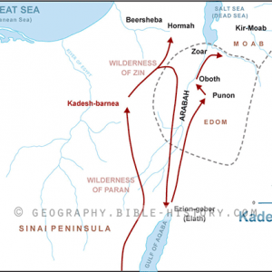 Kadesh Barnea - Basic Map (72 DPI) 1-Year License