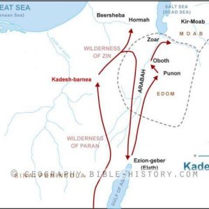 Numbers Kadesh Barnea - Basic Map (72 DPI) 1-Year License