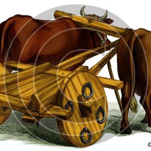 Oriental Ox Cart - Bible Illustration (72 DPI) 1-Year License