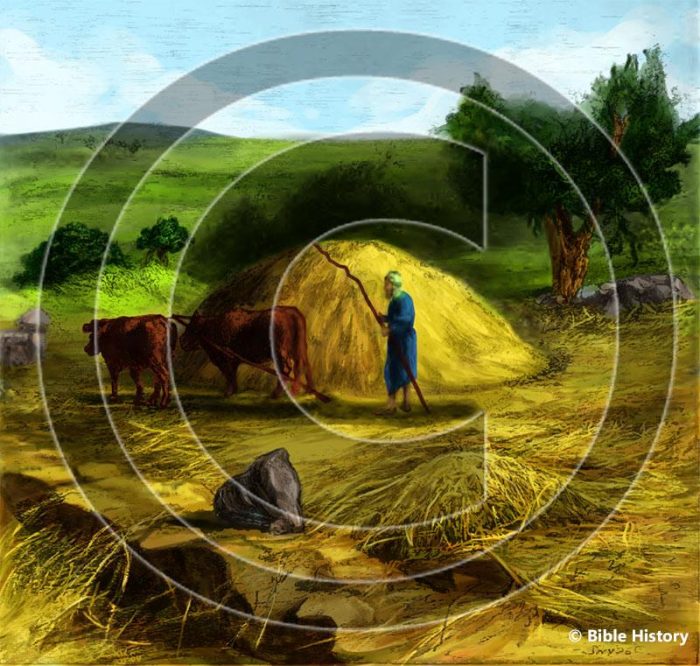 Oriental Threshing Floor Bible Illustration (72 DPI) 1Year License Bible Maps and Images