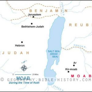 Ruth Moab - Basic Map (72 DPI) 1-Year License