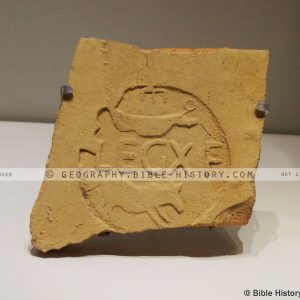 Tenth Roman Legion Insignia - Color Photo (72 DPI) 1-Year License