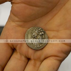 Tyrian Shekel (72 DPI) 1-Year License