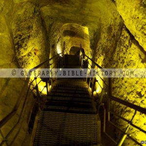 Warren's Shaft (72 DPI) 1-Year License