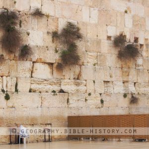Western Wall - Color Photo (72 DPI) 1-Year License